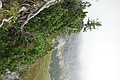 DSC05197 - Bernhard Saalfeld