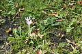 DSC05204 - Bernhard Saalfeld
