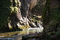 DSC05206 - Bernhard Saalfeld