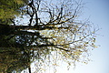 DSC05211 - Bernhard Saalfeld