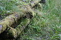 DSC05212 - Bernhard Saalfeld