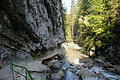 DSC05216 - Bernhard Saalfeld