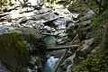 DSC05218 - Bernhard Saalfeld