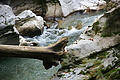DSC05219 - Bernhard Saalfeld