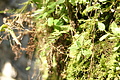 DSC05268 - Bernhard Saalfeld