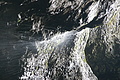DSC05282 - Bernhard Saalfeld