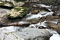 DSC05302 - Bernhard Saalfeld