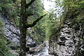 DSC05306 - Bernhard Saalfeld