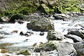 DSC05307 - Bernhard Saalfeld