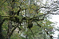 DSC05308 - Bernhard Saalfeld