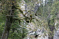 DSC05309 - Bernhard Saalfeld