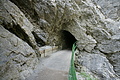 DSC05312 - Bernhard Saalfeld