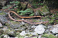DSC05313 - Bernhard Saalfeld
