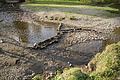 DSC05327 - Bernhard Saalfeld