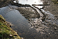 DSC05329 - Bernhard Saalfeld