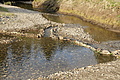 DSC05330 - Bernhard Saalfeld