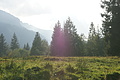 DSC05331 - Bernhard Saalfeld