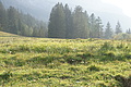 DSC05333 - Bernhard Saalfeld