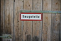 DSC05338 - Bernhard Saalfeld
