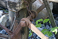 DSC05348 - Bernhard Saalfeld