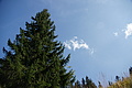 DSC05353 - Bernhard Saalfeld