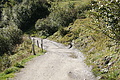 DSC05360 - Bernhard Saalfeld