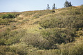 DSC05368 - Bernhard Saalfeld