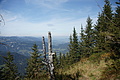 DSC05370 - Bernhard Saalfeld