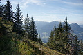 DSC05371 - Bernhard Saalfeld
