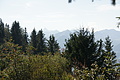 DSC05373 - Bernhard Saalfeld