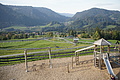 DSC05381 - Bernhard Saalfeld