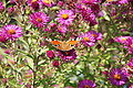 DSC05387 - Bernhard Saalfeld