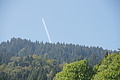 DSC05394 - Bernhard Saalfeld