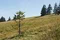 DSC05400 - Bernhard Saalfeld
