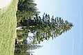 DSC05401 - Bernhard Saalfeld