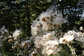 DSC05403 - Bernhard Saalfeld