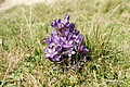 DSC05407 - Bernhard Saalfeld