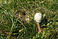 DSC05408 - Bernhard Saalfeld