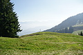 DSC05412 - Bernhard Saalfeld