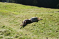 DSC05427 - Bernhard Saalfeld
