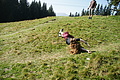 DSC05428 - Bernhard Saalfeld