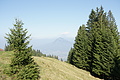 DSC05433 - Bernhard Saalfeld