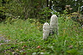 DSC05449 - Bernhard Saalfeld