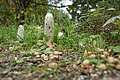 DSC05450 - Bernhard Saalfeld