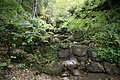 DSC05452 - Bernhard Saalfeld