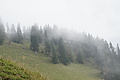 DSC05453 - Bernhard Saalfeld