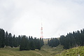 DSC05455 - Bernhard Saalfeld