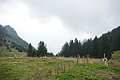 DSC05460 - Bernhard Saalfeld