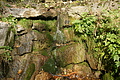 DSC05474 - Bernhard Saalfeld