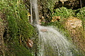 DSC05477 - Bernhard Saalfeld